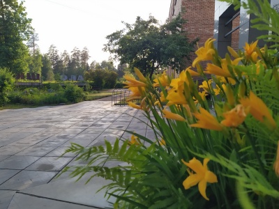 Ремонт музыкальной школы - 18.jpg